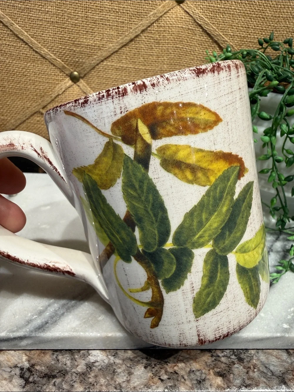 Sur La Table White and Green Oak Acorn Ceramic Mug